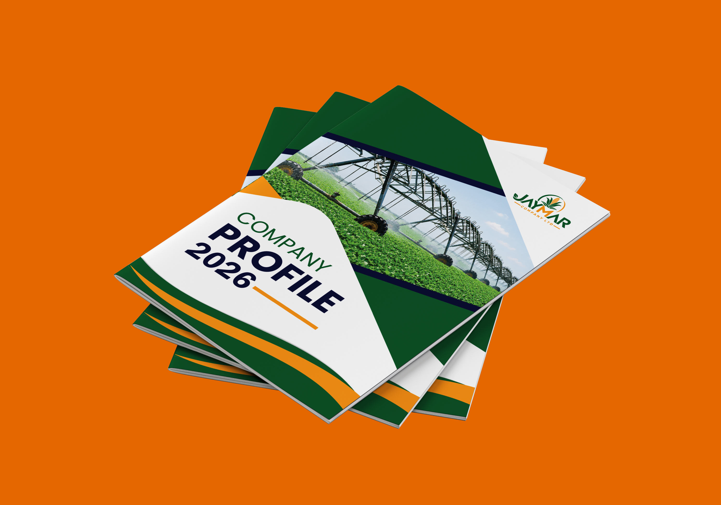 DACOLE previous work - Company Profile