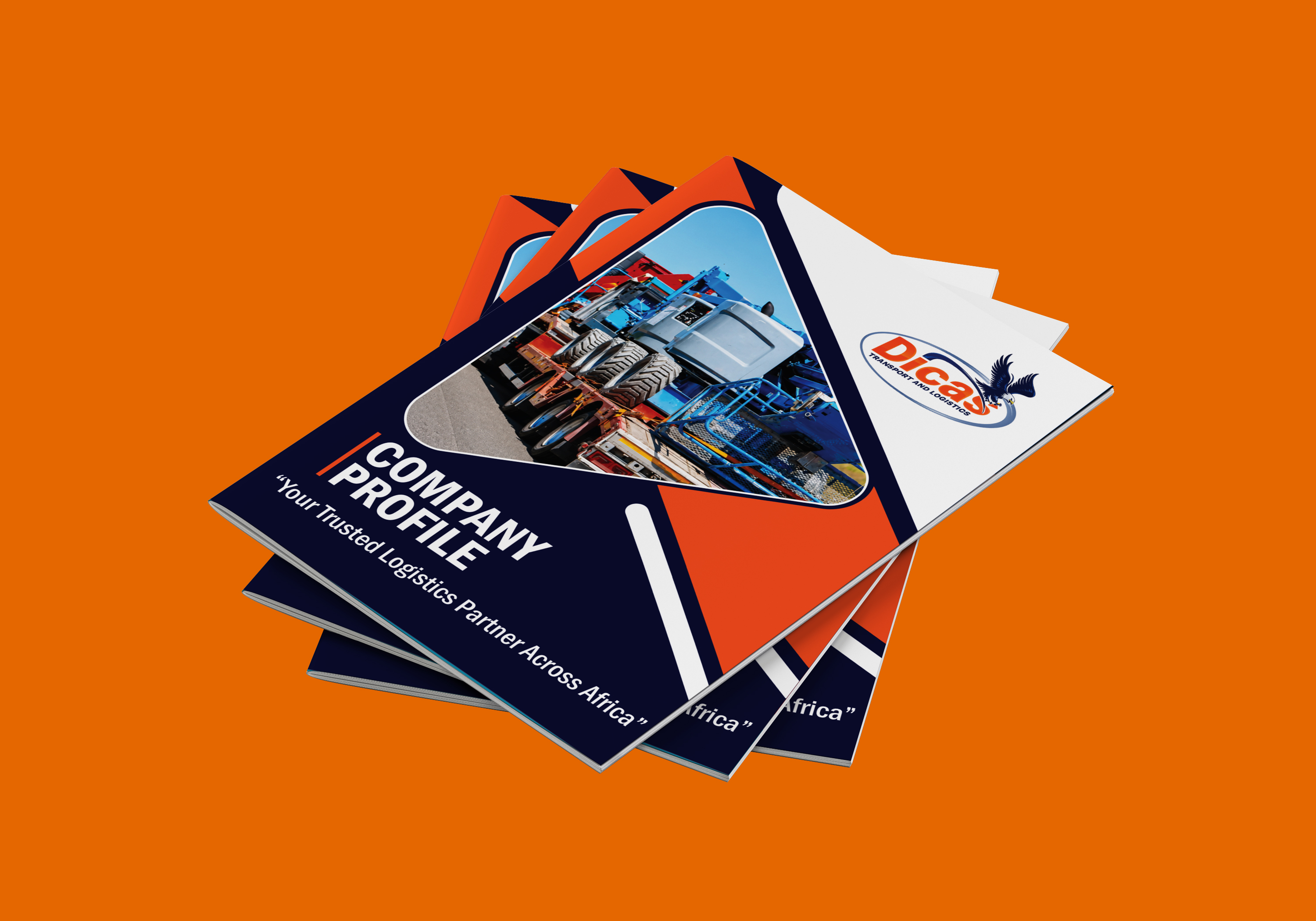 DACOLE previous work - Company Profile