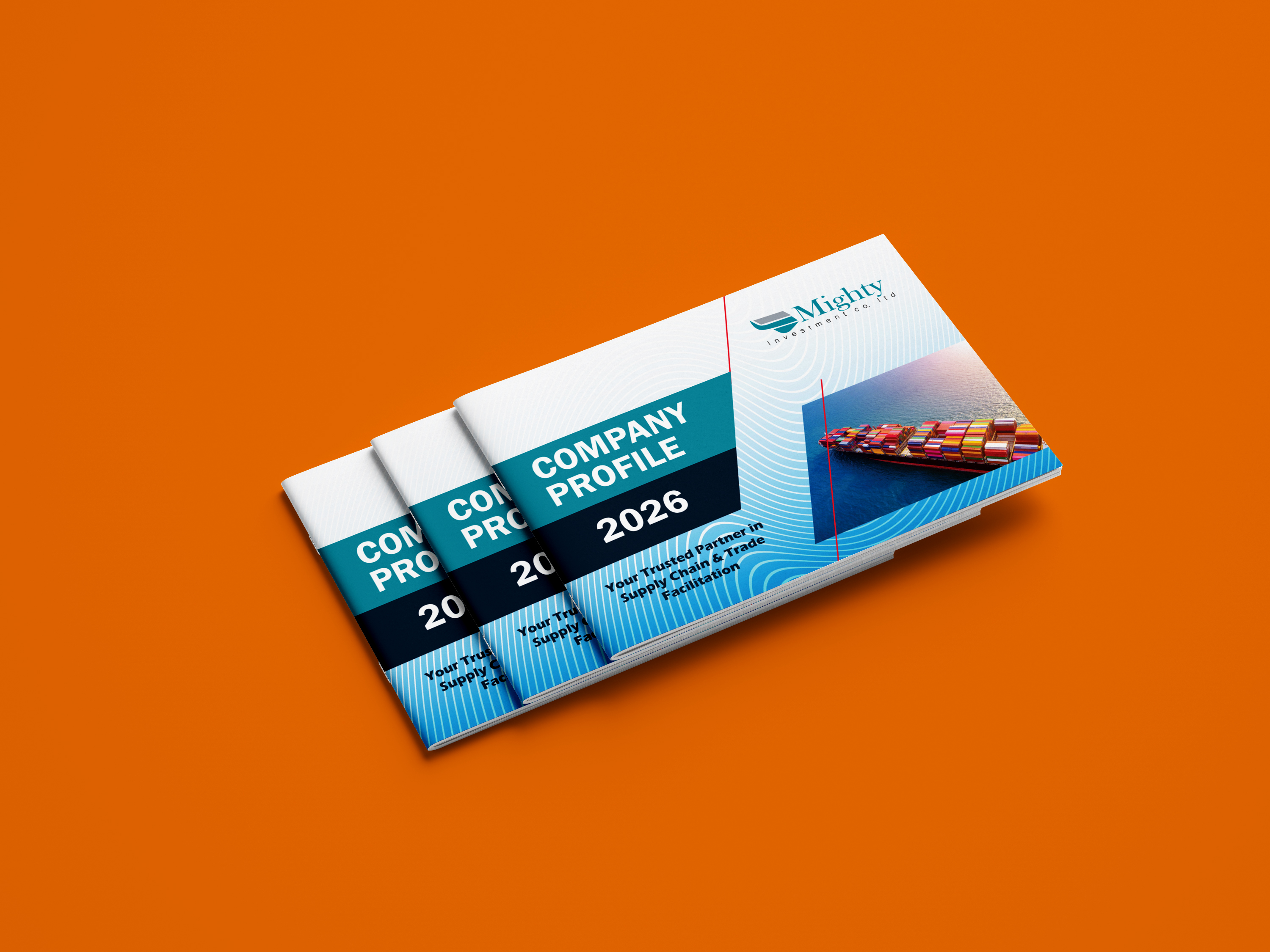 Company profile project